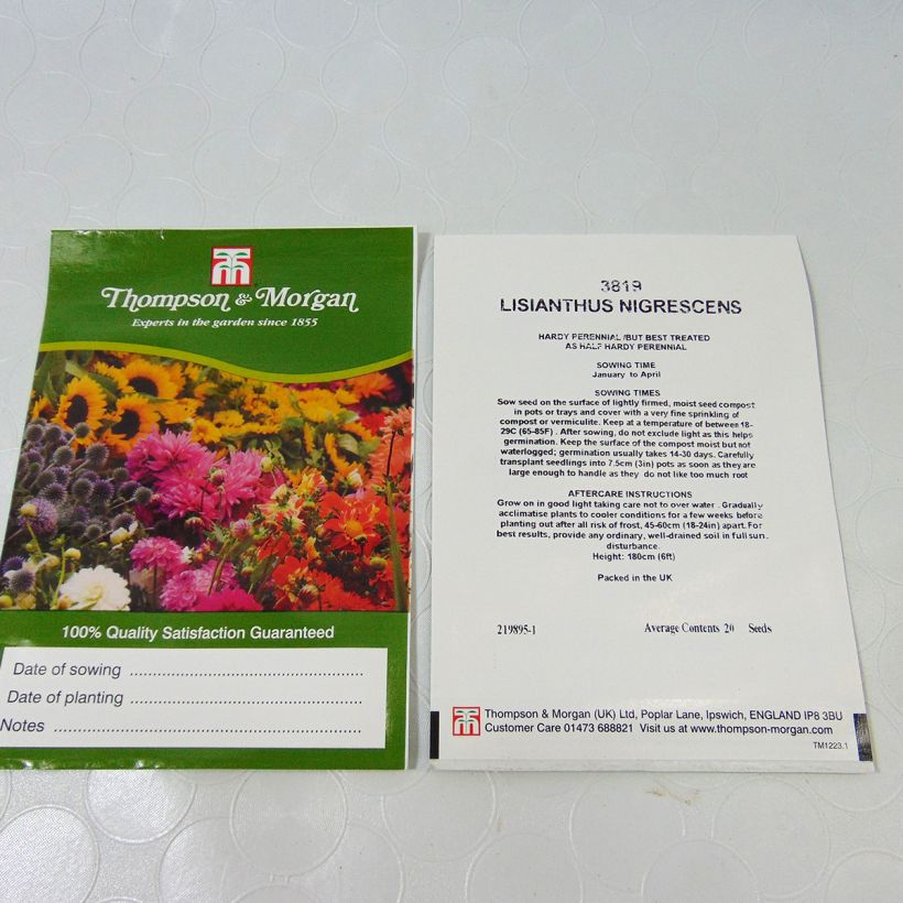 Example of Graines de Lisianthius nigrescens - Fleur de la mort per pack of 20 seeds as you get