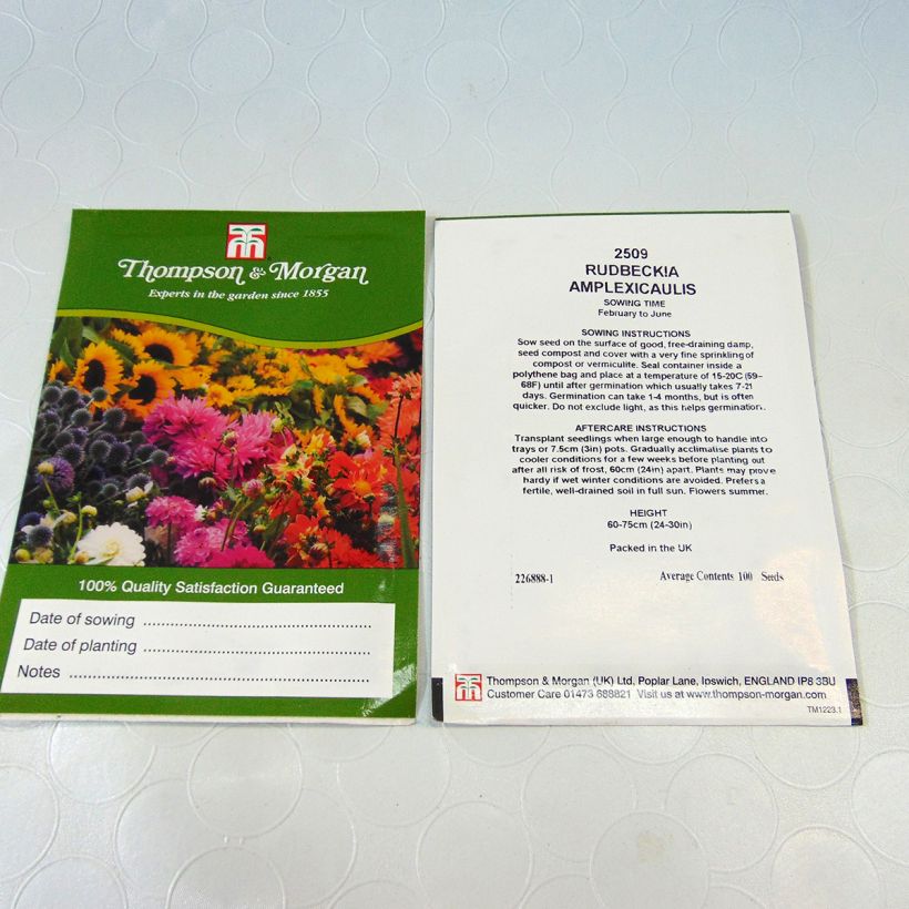 Example of Graines de Rudbeckia Chapeau Mexicain - Rudbeckia amplexicaulis per pack of 400 seeds (0,3g) as you get
