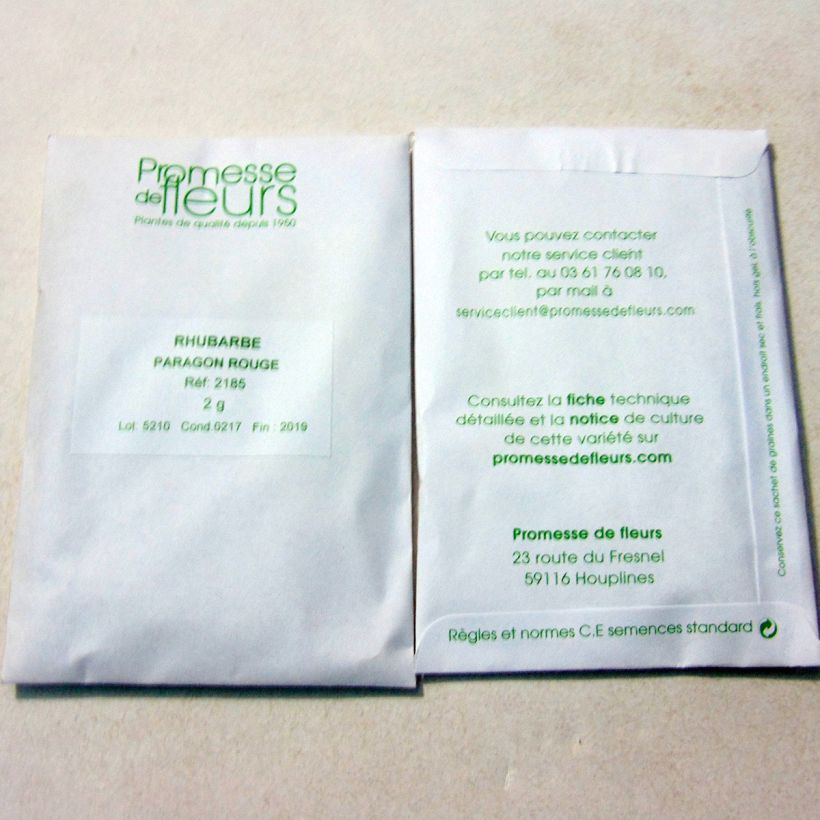Example of Rhubarbe Paragon Rouge - Rheum rhaponticum per pack of 125 seeds (2g) as you get