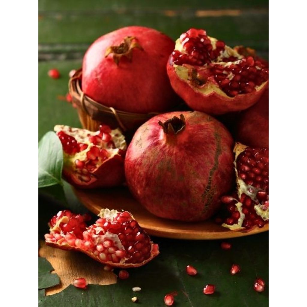 Grenadier à fruits - Punica granatum Wonderful