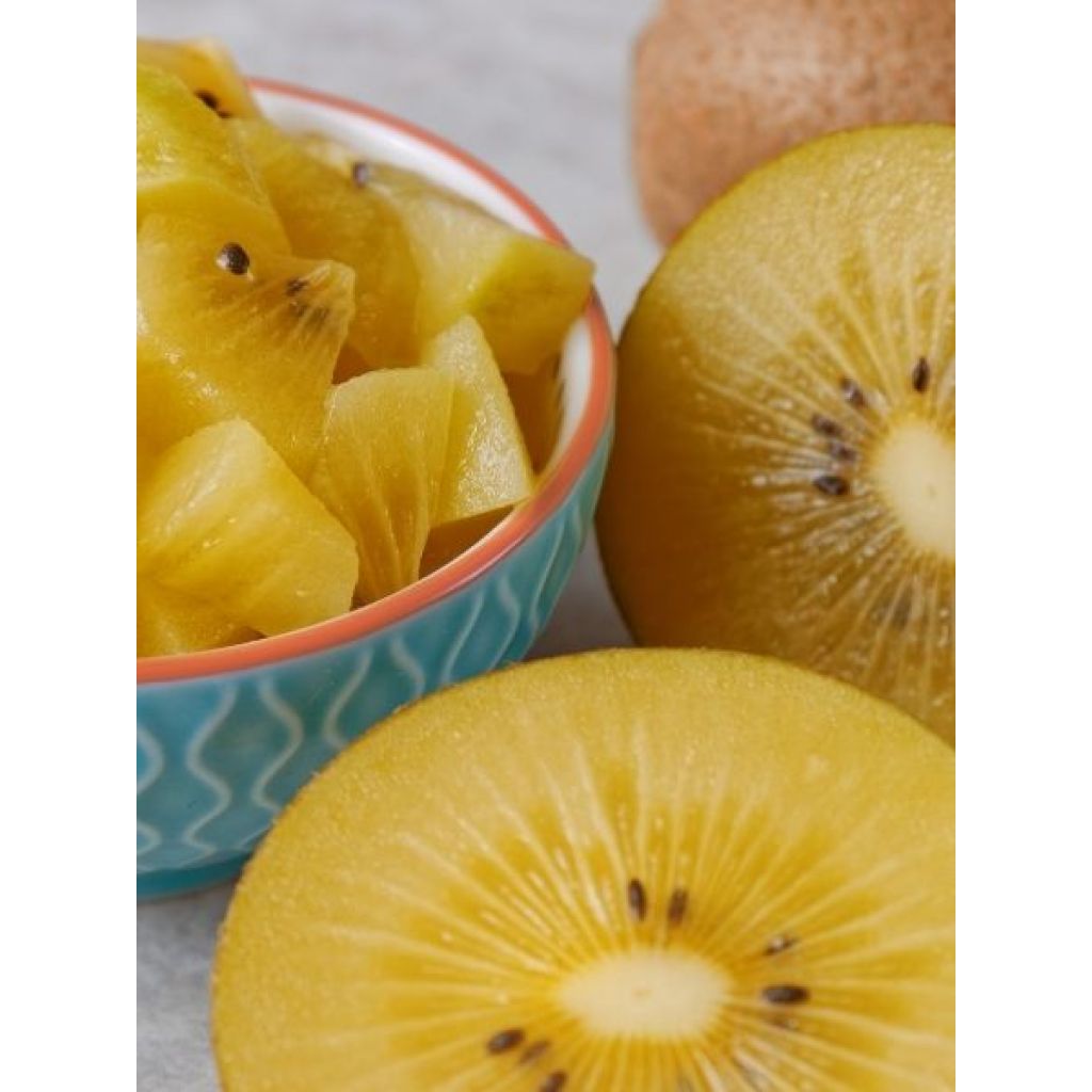Kiwi jaune femelle - Actinidia deliciosa Kiwi Gold