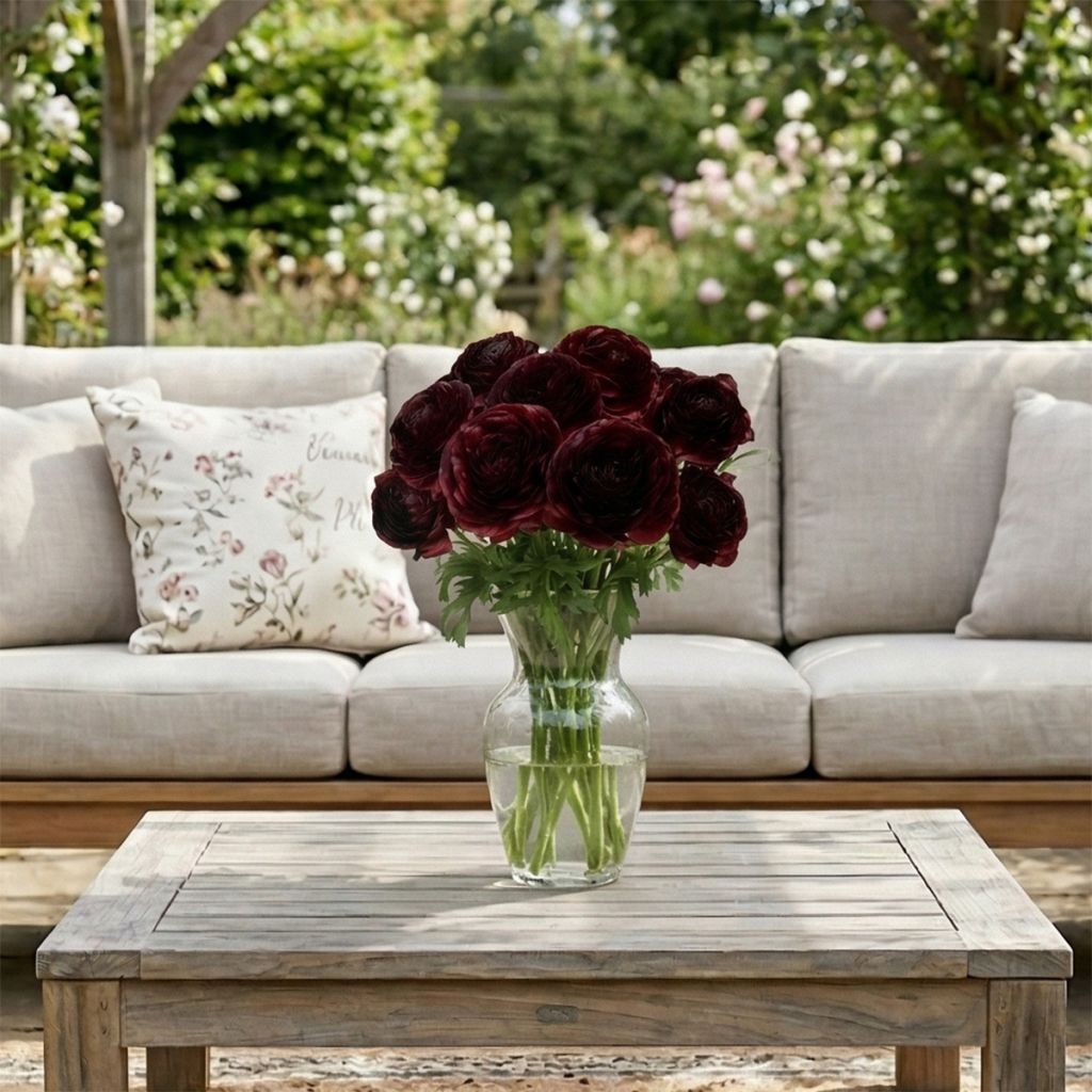 Renoncule des fleuristes Romance Perigord – Ranunculus asiaticus