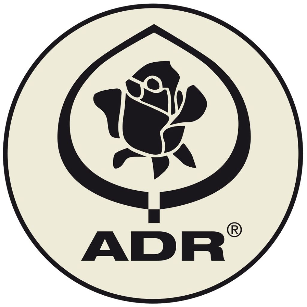 Rosier arbustif Deborah Meillandecor