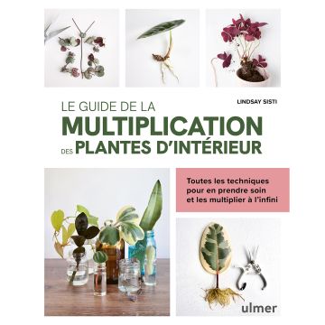 Le guide de la multiplication des plantes d'intérieur