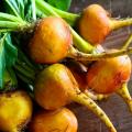 Betteraves Bio