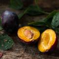 Fruits à noyaux