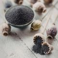 Graines de fleurs Bio