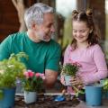 Idées cadeaux jardin pour la Fête des pères