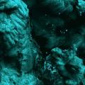 Transformative Teal - Couleur Tendance Jardin 2026